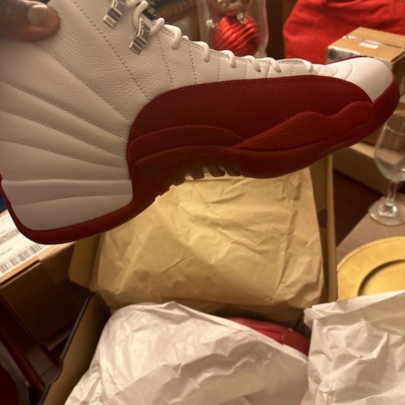 Cherry Jordan 12 size 14 new in the box